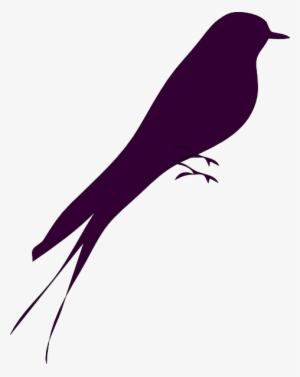 Small - Love Bird Silhouette Png