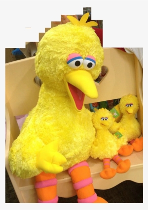 Does The Mitzvah Of Chasing Away The Mother Bird Apply - Big Bird With Baby Birds