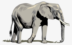 Elephant Vector Art - Elephant Clipart