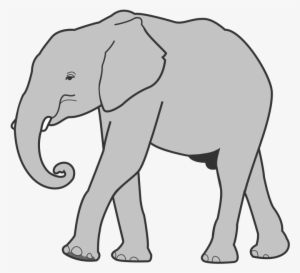 Elephant Clipart - Elephant Clip Art Png