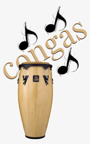 Well, At First I Started Out Playing Congas Because - Conga Lp Aspire Lpa610-aw 10" Quinto Natural Wood