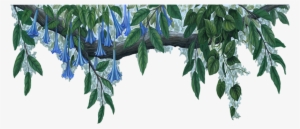 Blue Flowers Jungle 37 Cool Wallpaper - Blue Flower Border Transparent