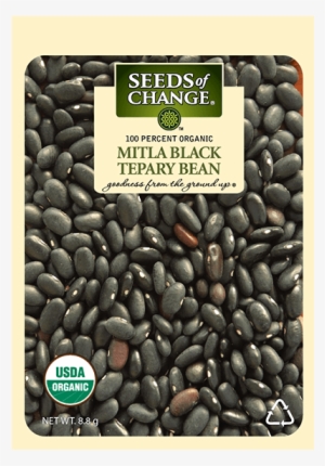 Organic Mitla Black Tepary Dry Soup Bean Seeds - Seeds Of Change