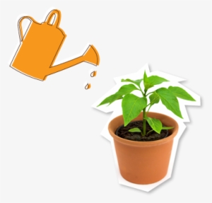 Watering Can And Pot Plant - Watering Potted Plant
