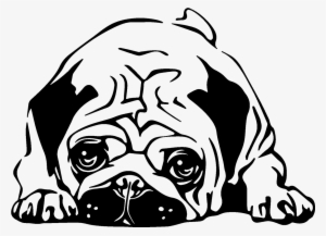 Vinilo Bulldog Cachorro - Vinilos Pug