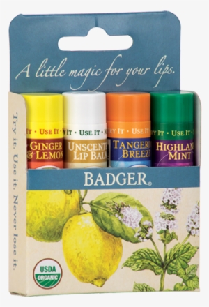 Organic Lip Balm Blue Box By Badger - Badger Lip Balm Pack