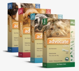 Advocate® - Bayer Dogs Advocate 21 Pip E.c 1 Ml