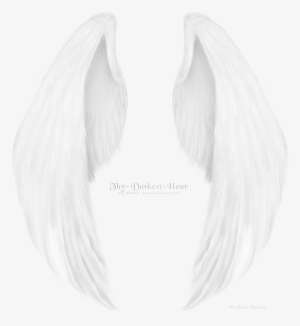 White Angel Wings Realistic - Sketch