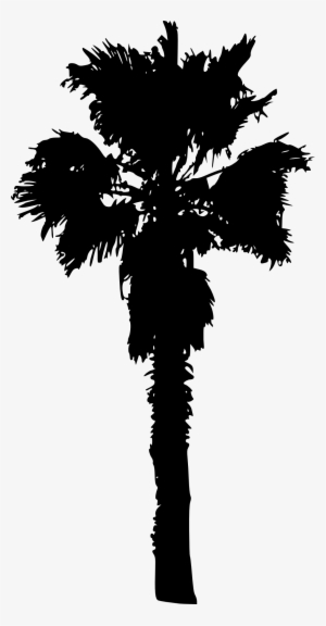 15 Palm Tree Silhouettes Png Transparent Background - Portable Network Graphics