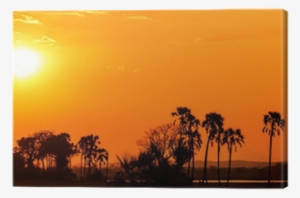 Orange Glow Sunset In A Palm Trees Landscape Canvas - Sunset