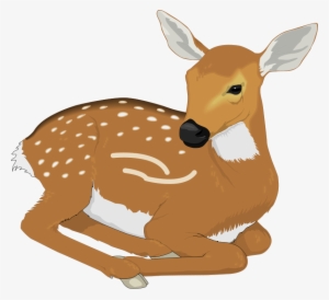 Deer Animal Clipart Pictures Royalty Free Clipart Pictures - Clip Art