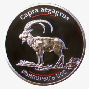 Capra Aegagrus Armenian Coin 2008 - Bezoar Ibex