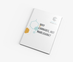 Why-cannabis - Graphic Design