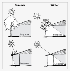 A Deciduous Tree Near The Living Area Of A House Provides - Design Strategies For Hot And Dry Climate