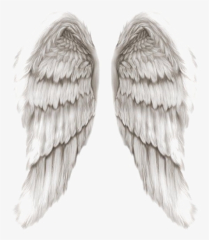 Angel Wings Png Transparent Image - Angel Wings Png Free