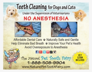 Natural Pet Tooth Fairy [1 Image] Click Any Image To - Labradoodle