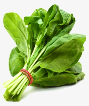 Spinach Png Free Download - Spinach Vegetable