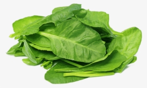 Spinach Powder - Organic 5 Lbs