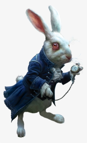 Яндекс - Фотки - Alice In Wonderland White Rabbit Png