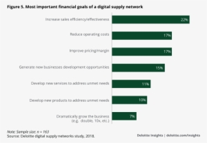 Most Important Financial Goals Of A Digital Supply - Financial Goal