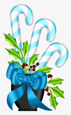 Pps Candy Cane Plant - Portable Network Graphics