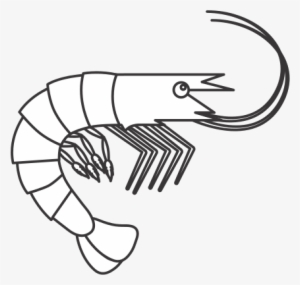 Seafood Drawing Japanese Banner Black And White Stock - Shellfish