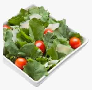 Kale Transparent Lettuce Clip Art Download - Salad