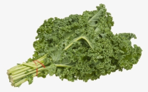 Free Png Kale Png Images Transparent - Bundle Of Kale