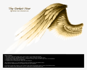 Golden Wings Transparent Background