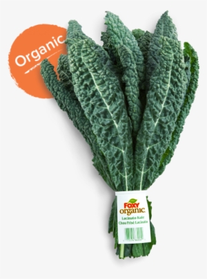 While Shopping, Choose Crisp, Blue Green Small To Medium - Lacinato Kale