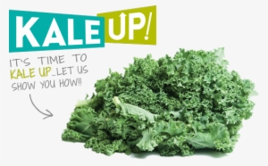 It's Time To Kale Up - Cruciferous Vegetables