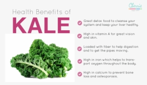 Health Benefits Of Kale - Kale Spinach