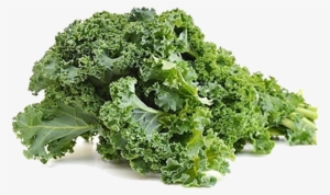 Marketed In Denmark By Bioforce Danmark As - Kale Leaves In Urdu