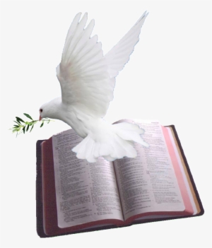 Holy Spirit Dove Png - Bible With Dove Png