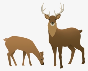 Stag And Doe Silhouette Download - Transparent Background Deer Clipart