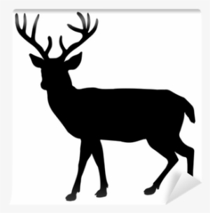 Deer Family Car Stickers