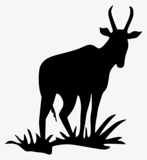Pronghorn Antelope Deer Silhouette Bovid - Antelope Silhouette Png