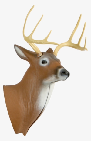 Xl Deer 3d Archery Target Replacement Head - Delta Mckenzie Pinnacle Xlarge Deer Hunting Archery