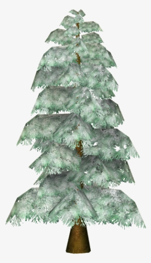 Snowy Himalayan Pine - Christmas Tree