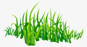 Grass Vector - กอ หญ้า การ์ตูน Png