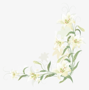 Lily Vector Border - Transparent Lily Flower Border