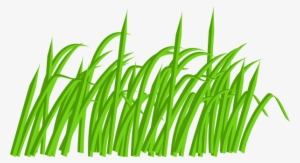 Green Grass Blade Clip Art At Clipart Library - Blades Of Grass Cartoon
