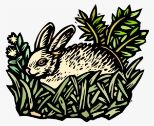 Vector Illustration Of Small Mammal Rabbit Lying In - Organism