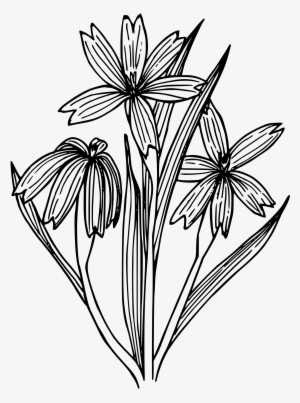 This Free Icons Png Design Of Blue-eyed Grass