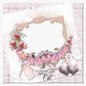 200 Points - Flower Frames For Photoshop