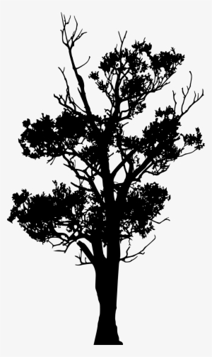45 Tree Silhouettes Png Transparent Background - Portable Network Graphics