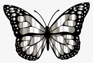 Medium Image - Butterfly Images Clip Art Black And White