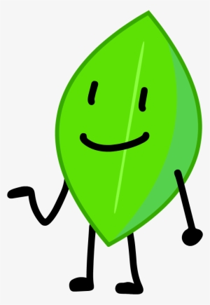 Leafy Icon - Bfdi Old Leafy Transparent PNG - 1064x1437 - Free Download ...