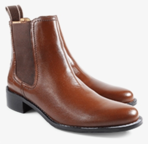 ankle boots tina 3 w madras tan rs - chelsea boot