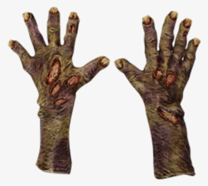 Pair Of Zombie Hands - Zombie Rotted Hands - Costume Accessories Halloween
